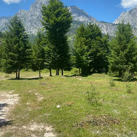 Heldi Eco