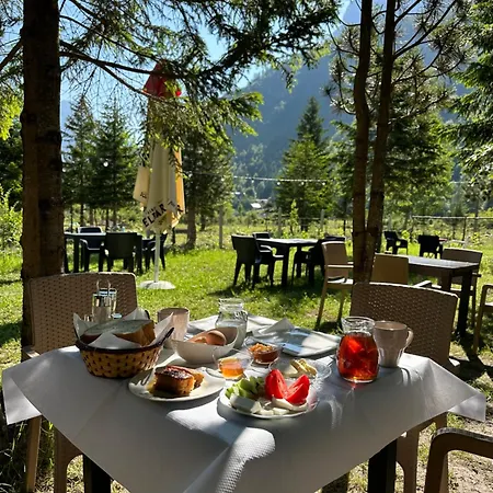 Heldi Eco Kamp alanı