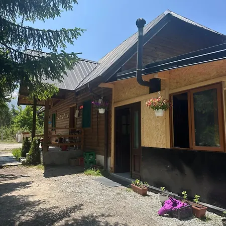 Heldi Eco Kamp alanı *